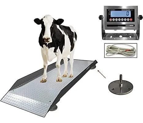 Bascula Ganadera BBG
