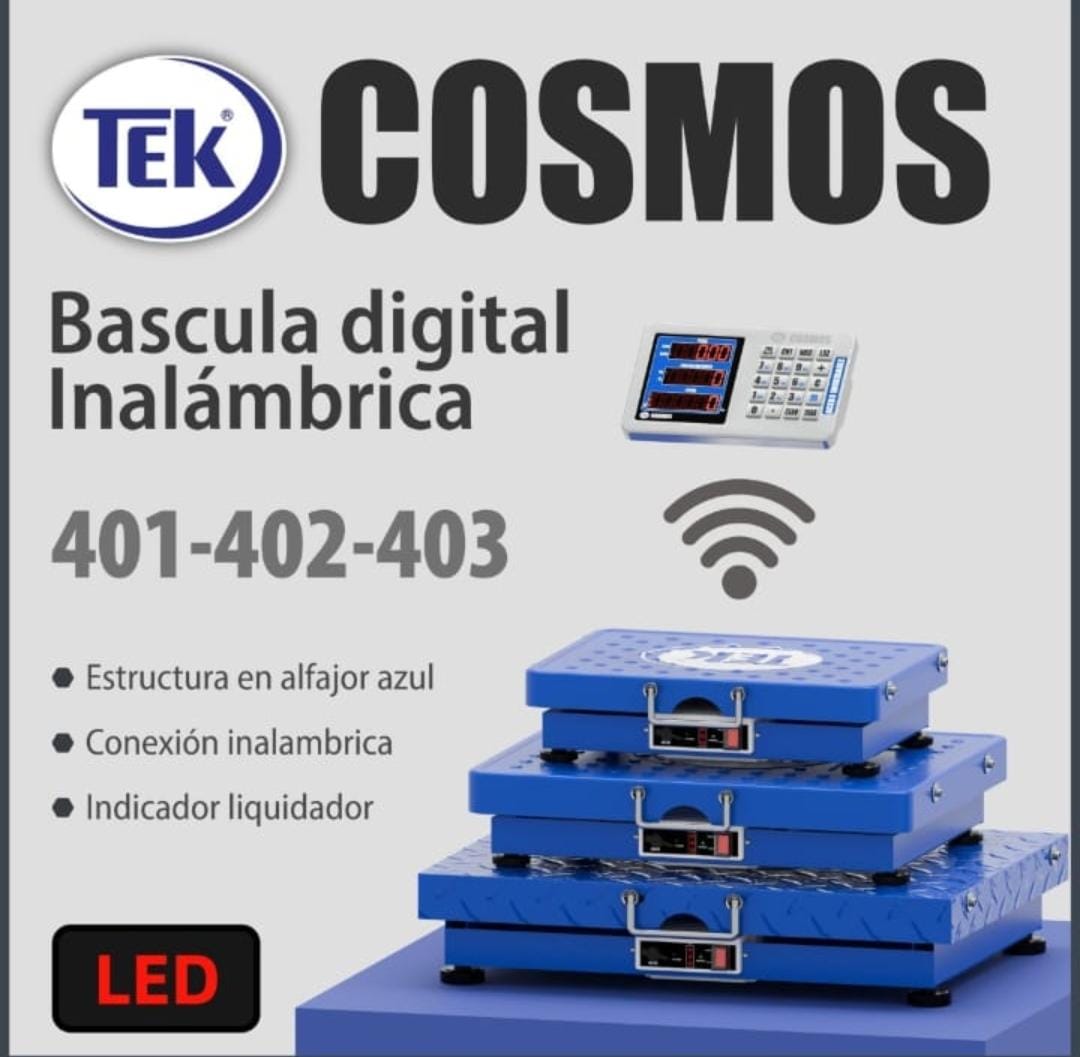 Báscula 200 Kilos Inalámbrica en Hierro TEK